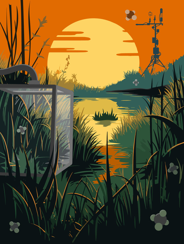 a graphic vector art illustration of a lush wetland with several scientific instruments nestled among the grass and a dramatic setting sun reflected in the water